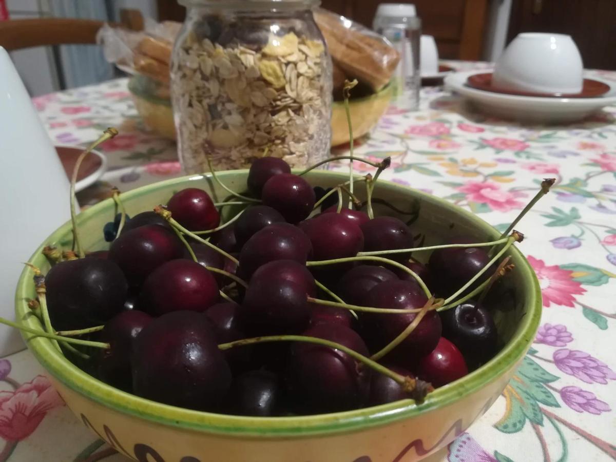 A Casa Di Carla B&B San Raffaele Cimena Eksteriør bilde